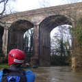 River Mole - December 2009