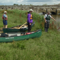 River Arun - July 2012