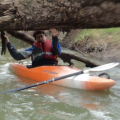River Mole - March 2015