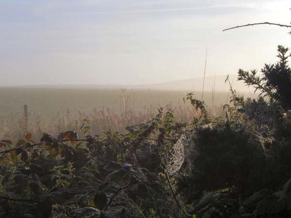 08-28-07-18-DP-IMGP0090