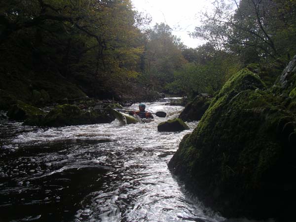 IMGP0773