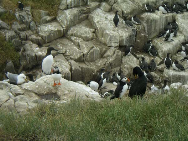 ANotLundy16