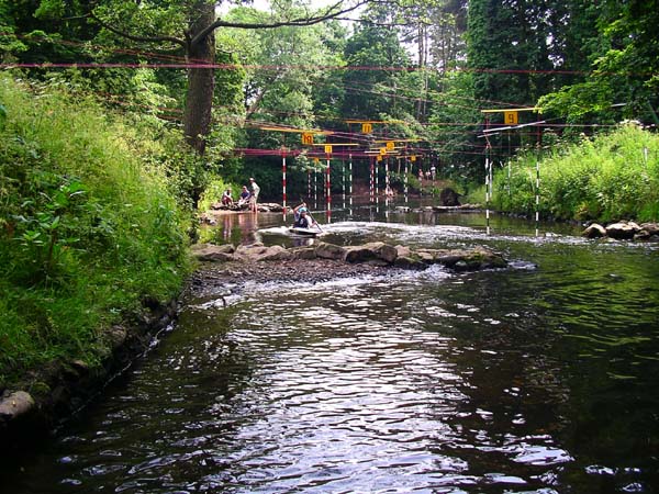 IMGP0532