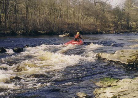 Image11
