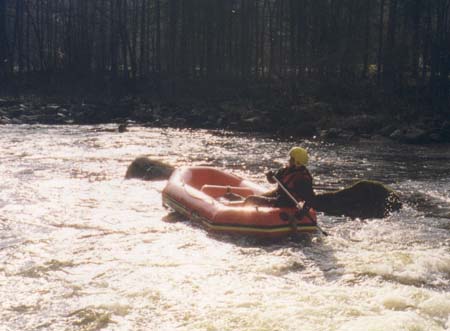 Image14