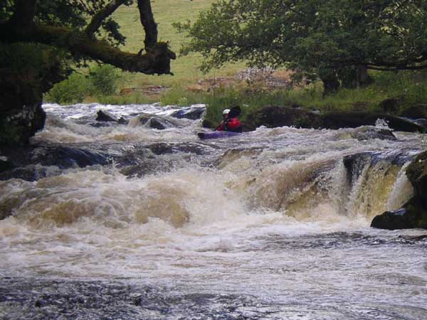 IMGP1694