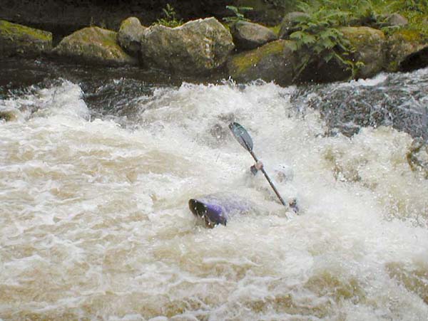 36-Tryweryn0804