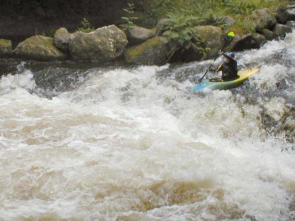 37-Tryweryn0804