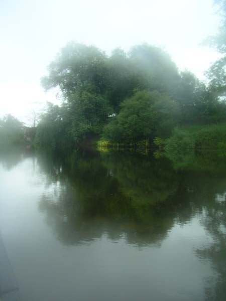 IMGP0551