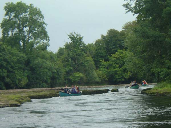 IMGP0568