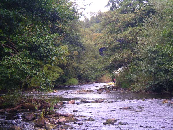 IMGP0963
