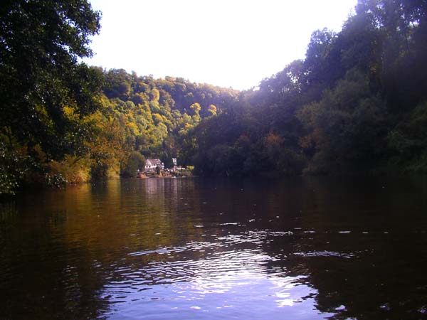 IMGP0975