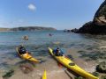DSC00281.JPG