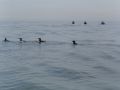 DSC00355.JPG