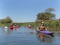 DSC00439~0.JPG