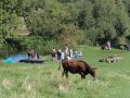 DSC00443.JPG