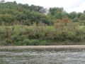 DSC00461.JPG