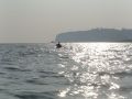 DSC00469.JPG