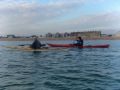 DSC00477.JPG