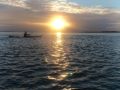DSC00483.JPG