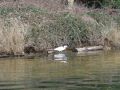 DSC00557.JPG