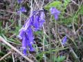 IMGP0896.JPG