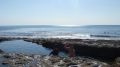 canoeing_Dorset_-_Sept_15_282029.JPG