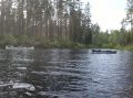 08062011284.jpg