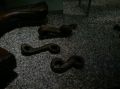 11062011327.jpg