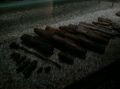 11062011328.jpg